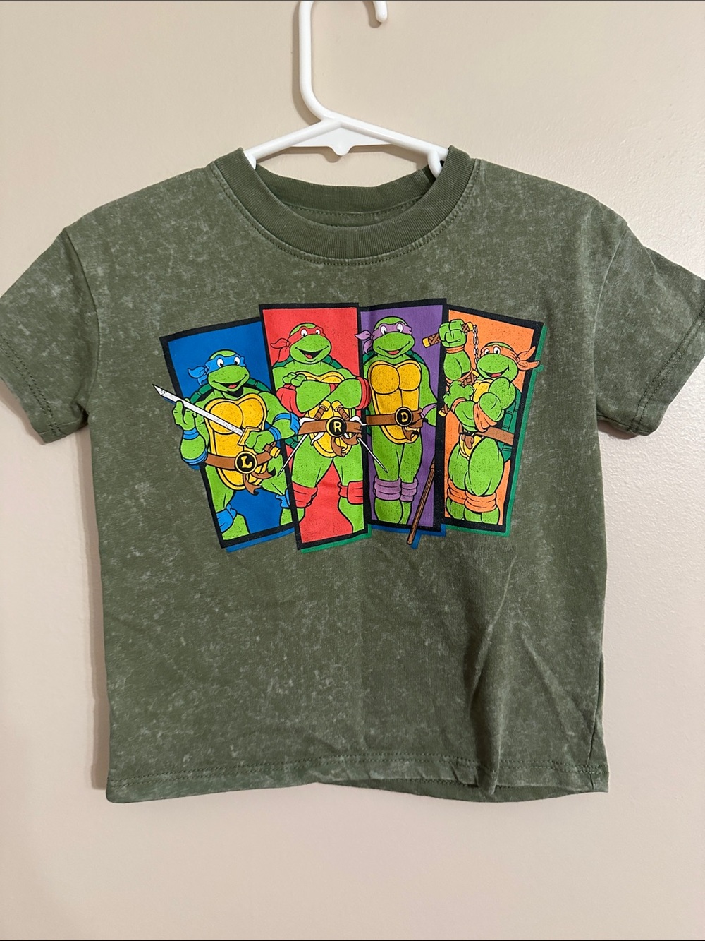 Teenage Mutant Ninja Turtles Green Graphic Kids Tee